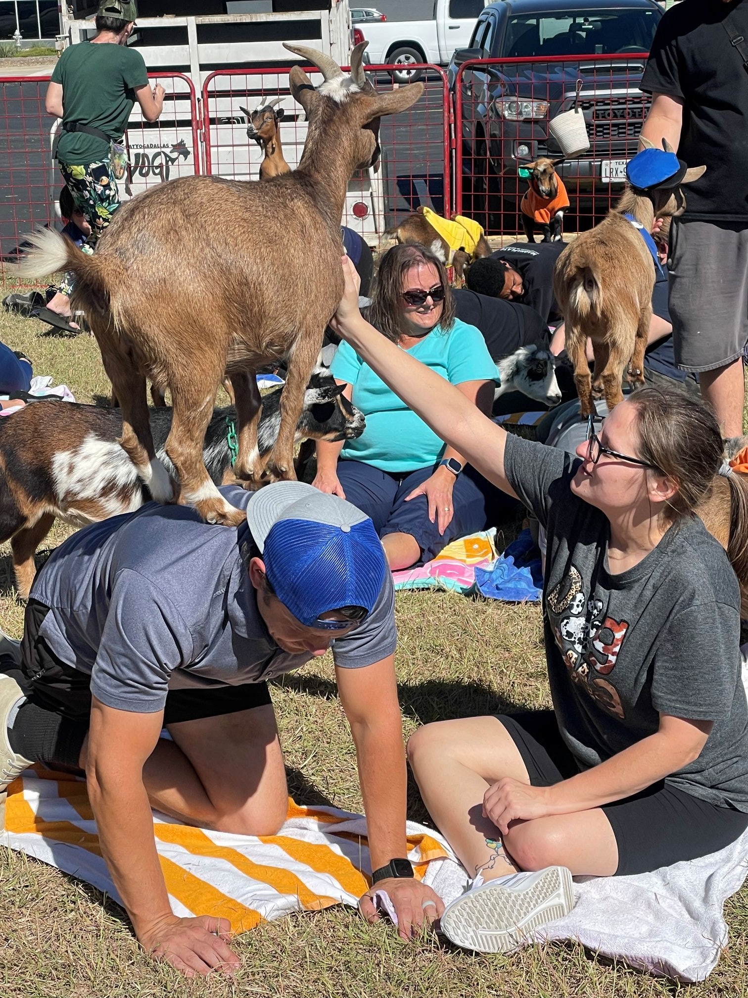 GoatYoga